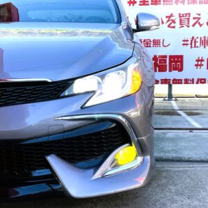 MARK X 　マークX 　250G　Sパッケージ　リラックスセレクション　【custom】