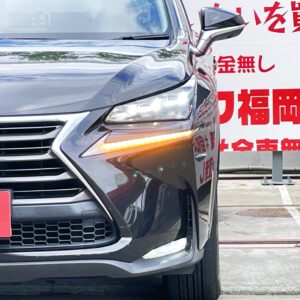 LEXUS レクサス ＮＸ300h バージョンL