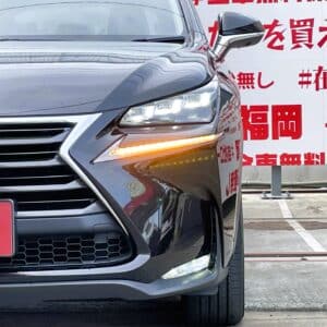 LEXUS レクサス ＮＸ300h バージョンL