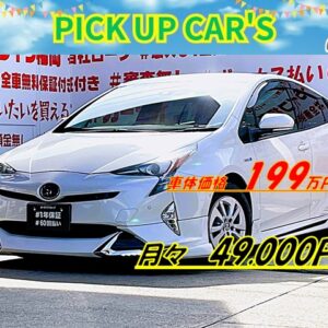 PRIUS プリウス　S【カスタム】