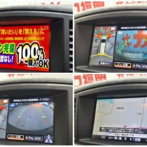 ELGRAND エルグランド　ライダー ブラックライン 黒本革マニュアルシート　【特別仕様車】