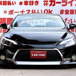 MARK X マークX 250G リラックスセレクション【カスタム】
