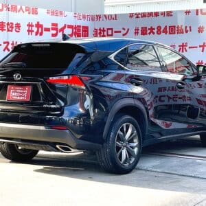 LEXUS　レクサス　NX200t　Fスポーツ【総合評価優良車】