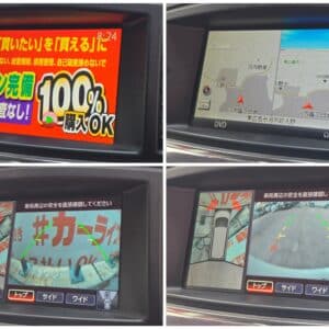 ELGRAND　エルグランド　250ハイウェイスター　【カスタム】