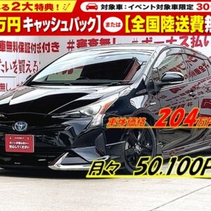 PRIUS プリウス Sツーリングセレクション【カスタム】