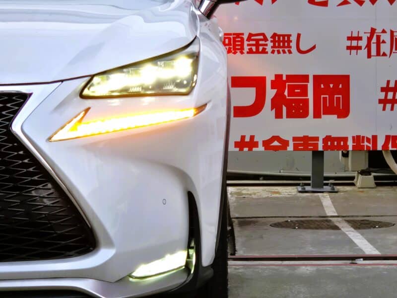 LEXUS レクサス NX300h Fスポーツ 【総合評価優良車】