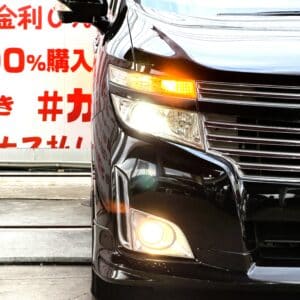 ELGRAND エルグランド 250ハイウェスター