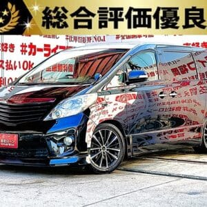 ALPHRD アルファード 240S【総合評価優良車】【カスタム】