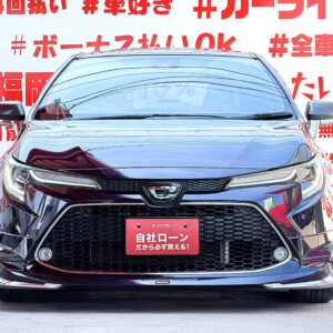 COROLLA TOURING カローラツーリング W×B 【車検2年付】