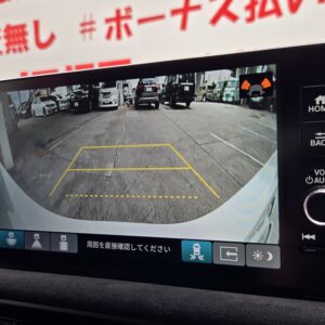 CIVIC　シビック　TYPE R レーシングブラックパッケージ　