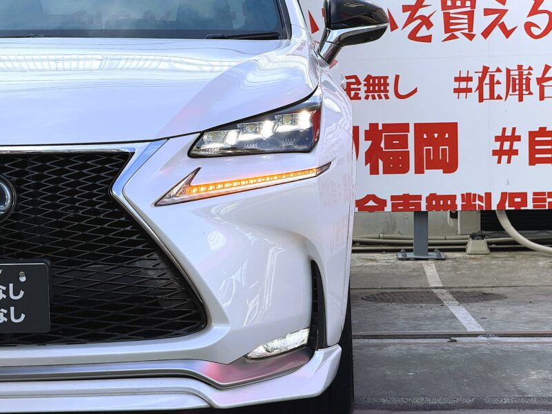 LEXUS レクサス NX300h Fスポーツ