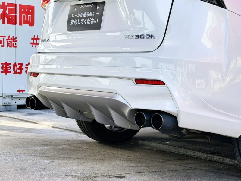 LEXUS レクサス NX300h Fスポーツ