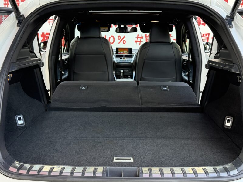 LEXUS レクサス NX300h Fスポーツ