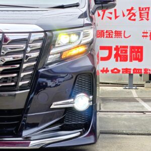 ALPHRD　アルファード　3.5SA　【カスタム】【車検２年付】
