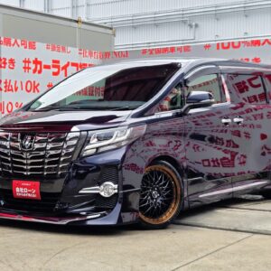 ALPHRD　アルファード　3.5SA　【カスタム】【車検２年付】