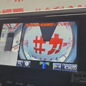ALPHRD　アルファード　3.5SA　【カスタム】【車検２年付】
