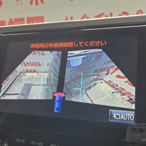 ALPHRD　アルファード　3.5SA　【カスタム】【車検２年付】