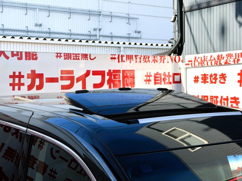 ELGRAND エルグランド VIP【特別仕様車】