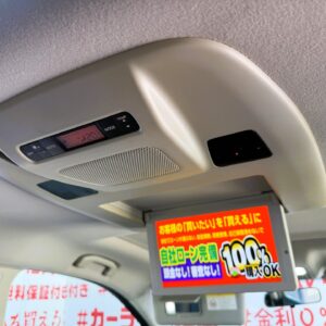ELGRAND エルグランド　VIP【特別仕様車】